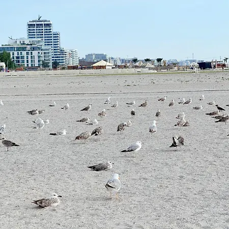 Your Escape To The And *