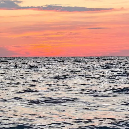 Your Escape To The And * Mamaia