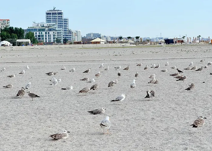 Your Escape To The And *