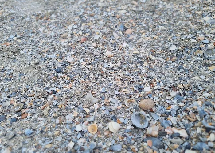 Your Escape To The And