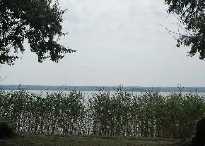 Your Escape To The And *